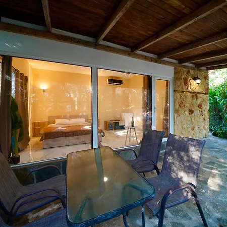 Olive House Nea Moudania